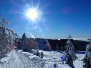 Foto budovy DM Lovosická